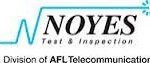 Noyes logo